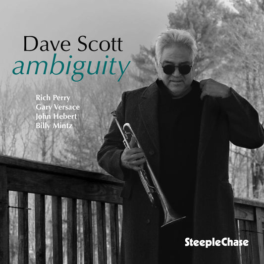 the album cover for Dave Scott - Ambiguity