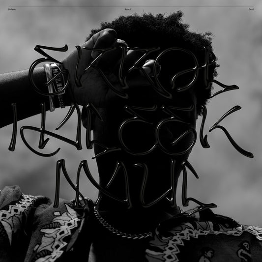the album cover for Haleek Maul - Errol