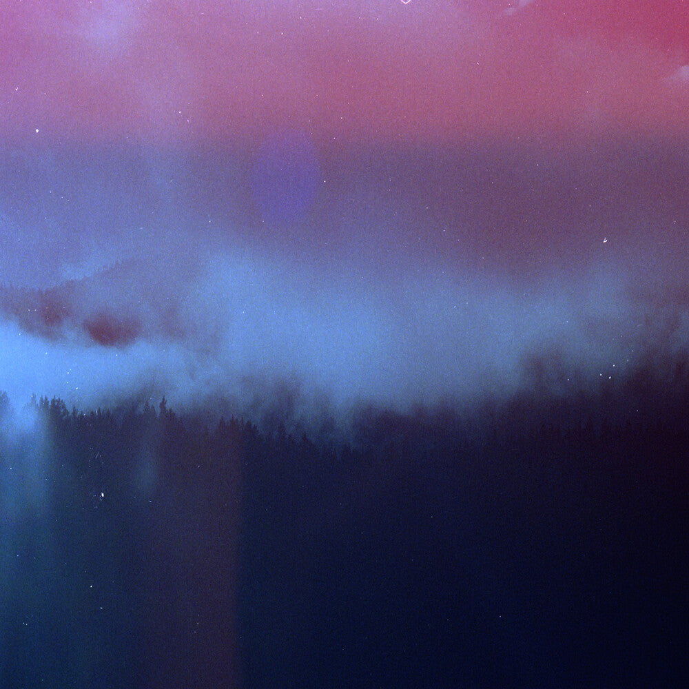 the album cover for Mute Forest - Riderstorm [Limited Edition]