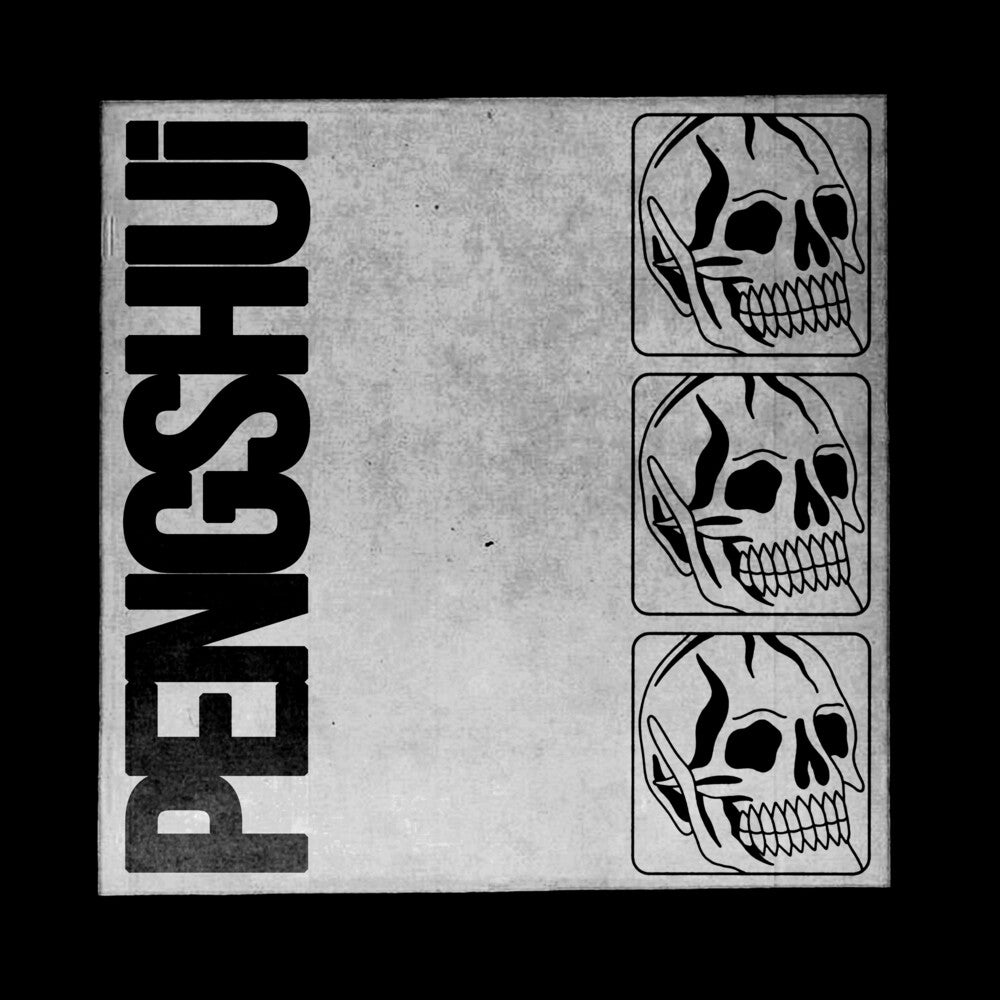 the album cover for PENGSHUi - Pengshui