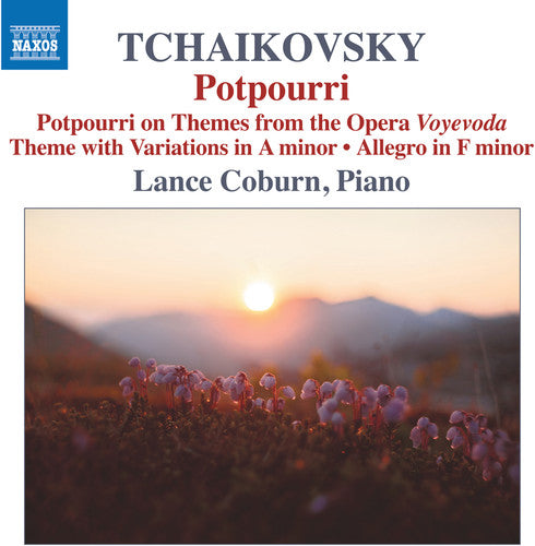 the album cover for Tchaikovsky / Coburn - Potpourri