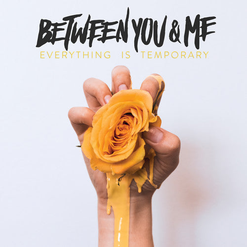 the album cover for Between You & Me - Everything Is Temporary