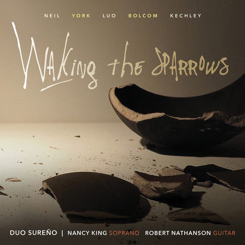 the album cover for Neil / Spencer - Walking the Sparrows