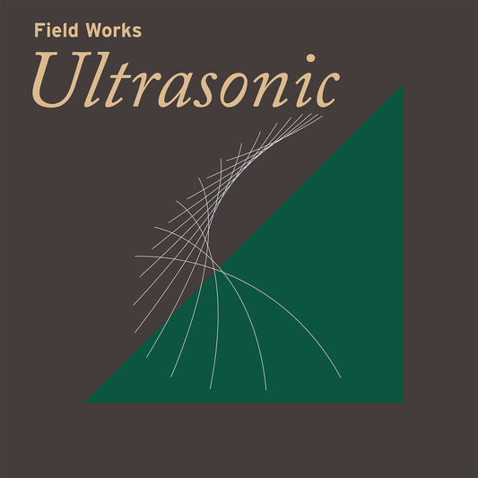 the album cover for Field Works - Field Works: Ultrasonic / Various