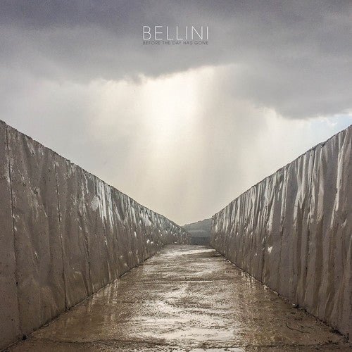 the album cover for Bellini - Before The Day Has Gone