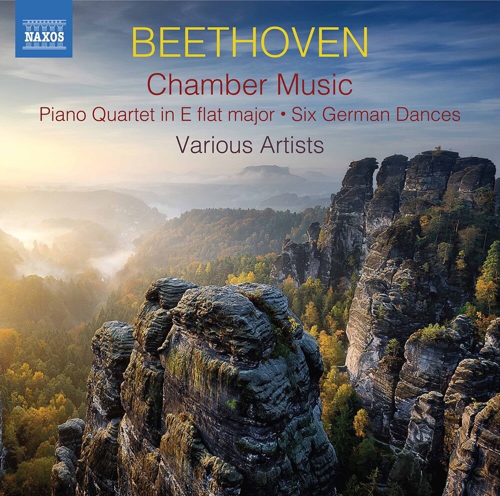 the album cover for Beethoven - Chamber Music