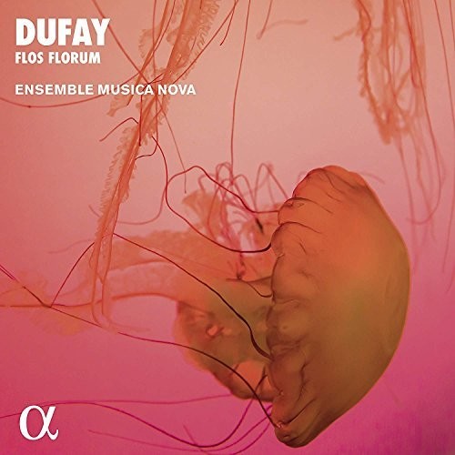 the album cover for Dufay / Ensemble Musica Nova - Flos Florum