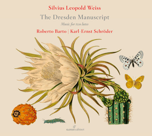 the album cover for Weiss / Barto - Dresden Manuscript / Works for Two Lutes
