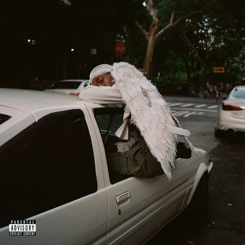 the album cover for Blood Orange - Negro Swan [2LP]