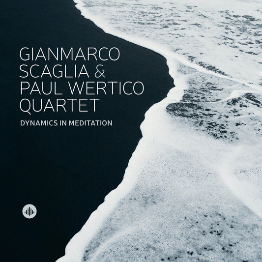 the album cover for Dynamics In Meditation / Various - Dynamics in Meditation