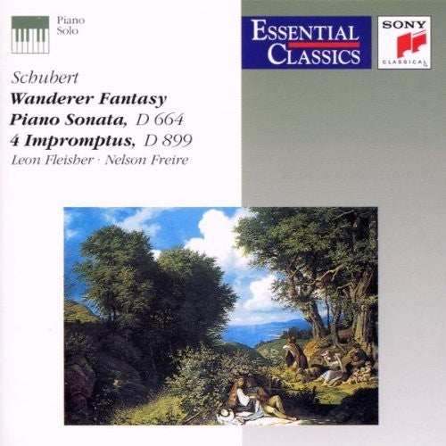 the album cover for Fleisher - Wanderer Fantasy