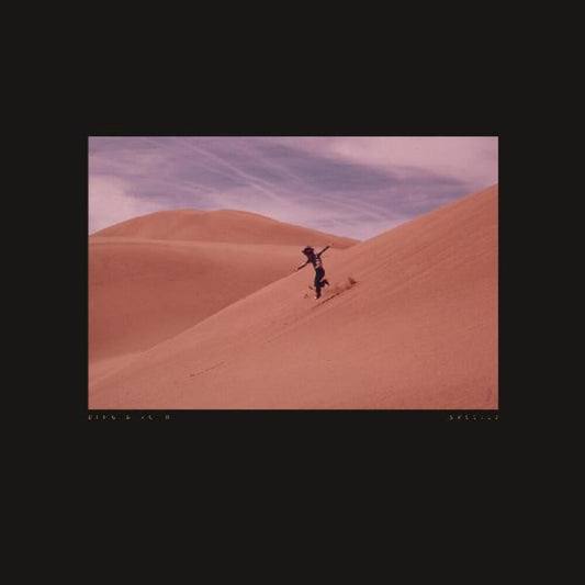 the album cover for Bing & Ruth - Species