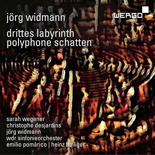 the album cover for Sarah Wegener - Drittes Labyrinth / Polyphone Schatten