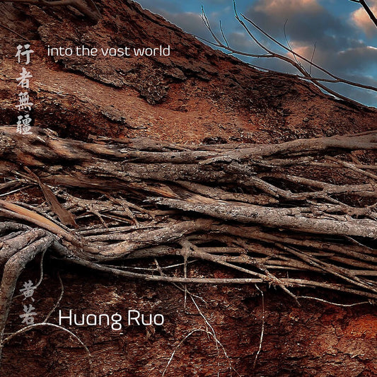 the album cover for Ruo / Zhang - Into the Vast World