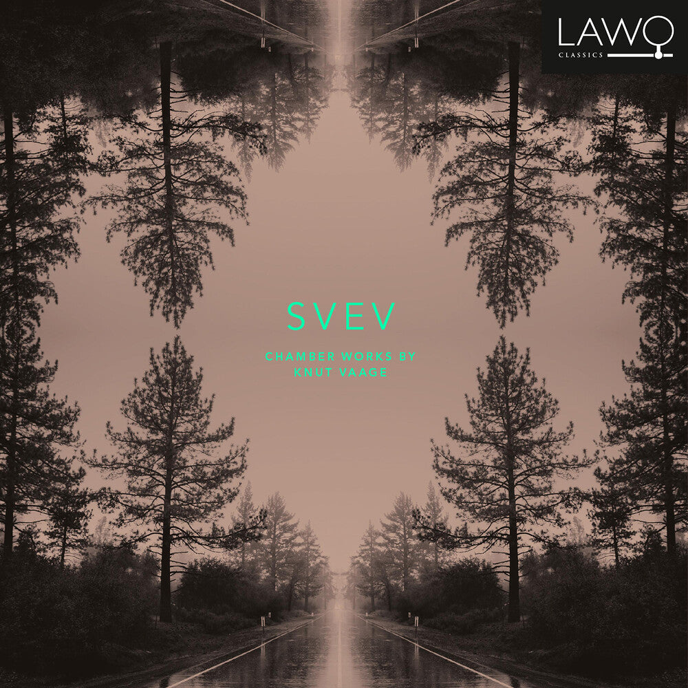 the album cover for Vaage / Valen Trio - Svev