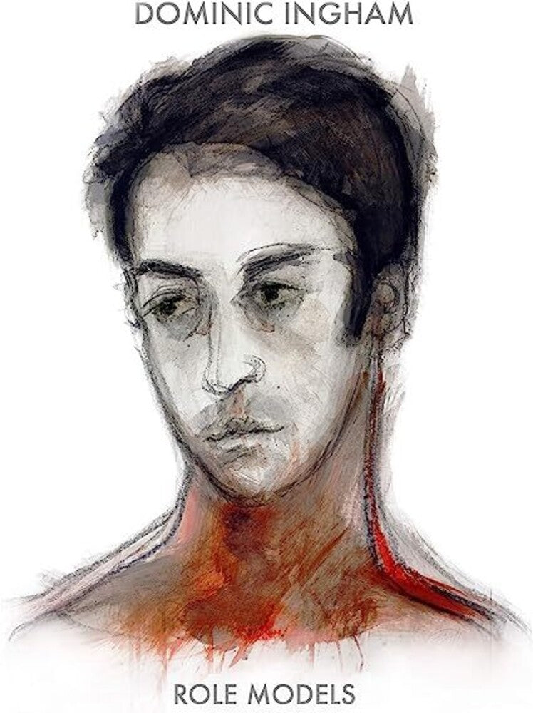 the album cover for Dominic Ingham - Role Models