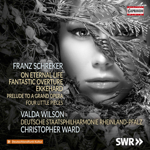 the album cover for Schreker / Wilson - On Eternal Life / Fantastic Overture