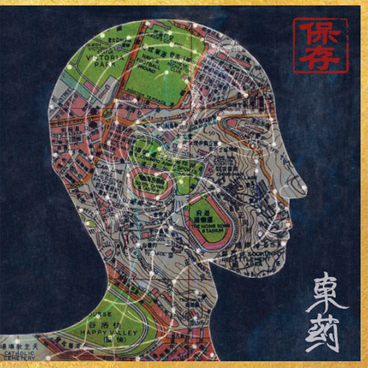 the album cover for Preservation - Eastern Medicine, Western Illness