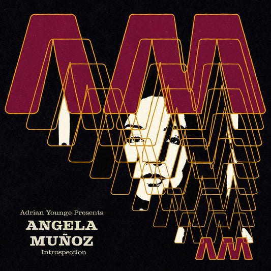 the album cover for Angela Muñoz - Introspection