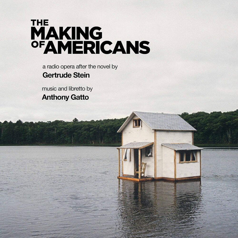 the album cover for Gatto - Making of Americans