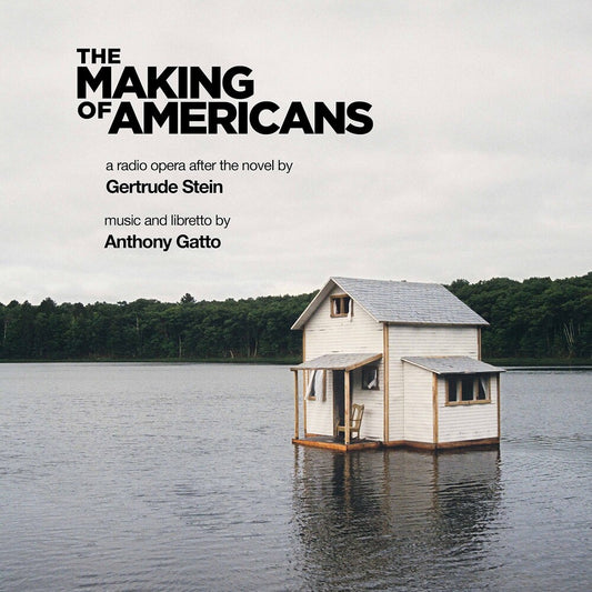 the album cover for Gatto - Making of Americans