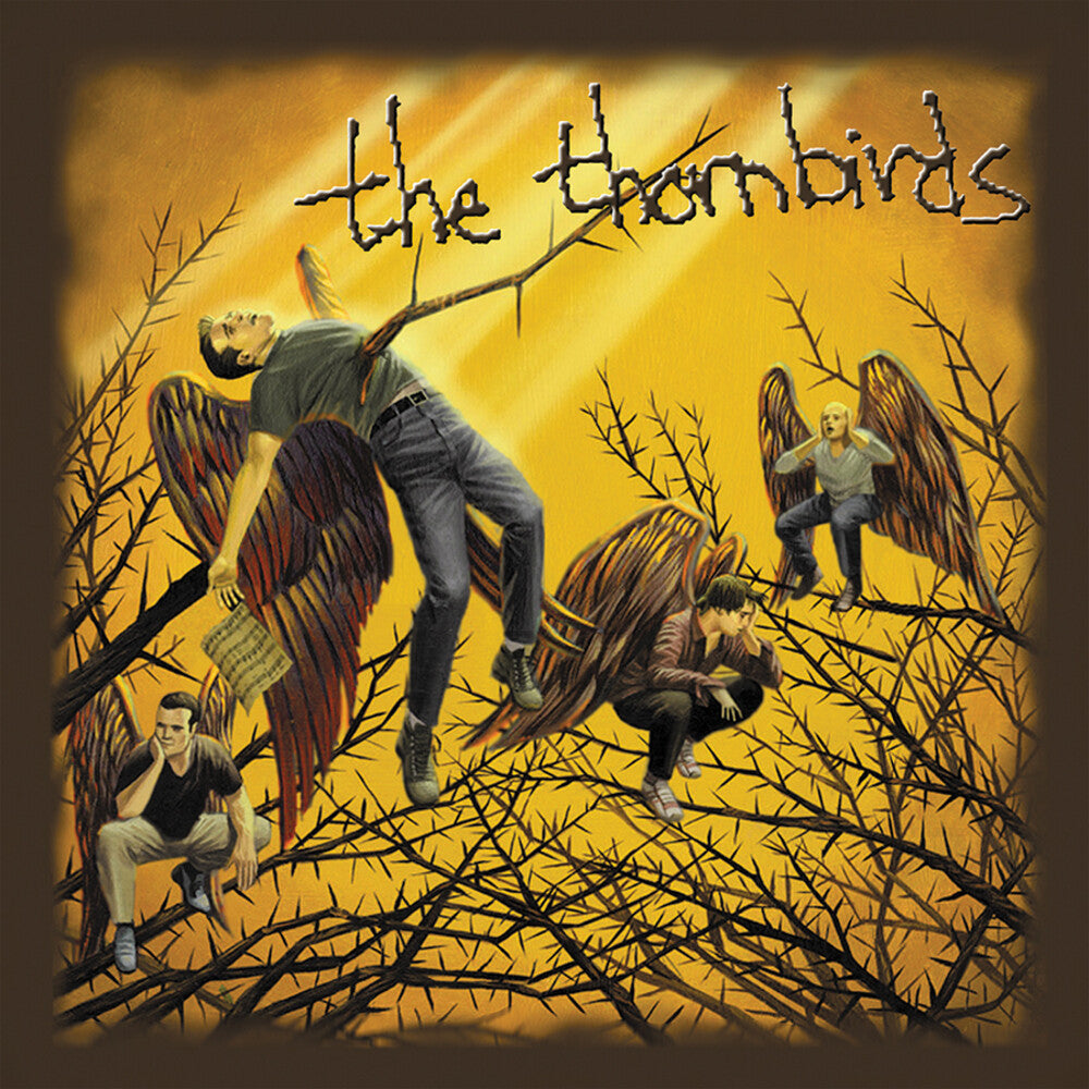 the album cover for Thornbirds - All The Same