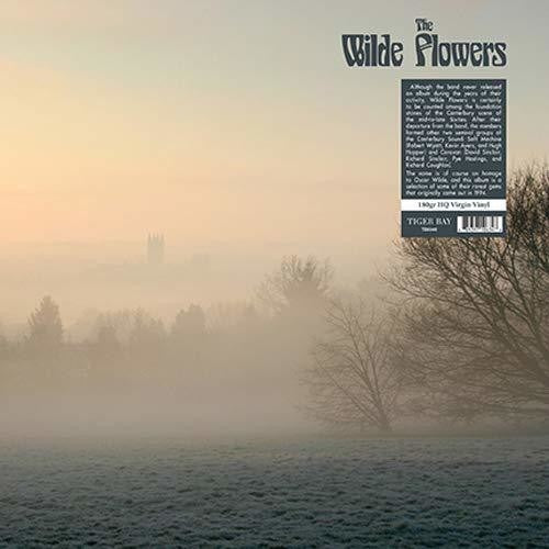 the album cover for Unknown Artist - Wilde Flowers [180 Gram]