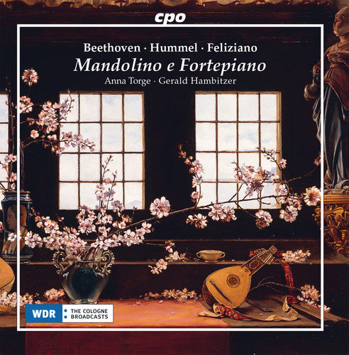 the album cover for Beethoven / Torge / Hambitzer - Mandolino E Fortepiano