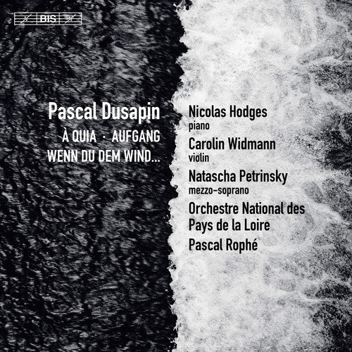 the album cover for Dusapin / Petrinsky - Wenn Du Dem Wind / Aufgang