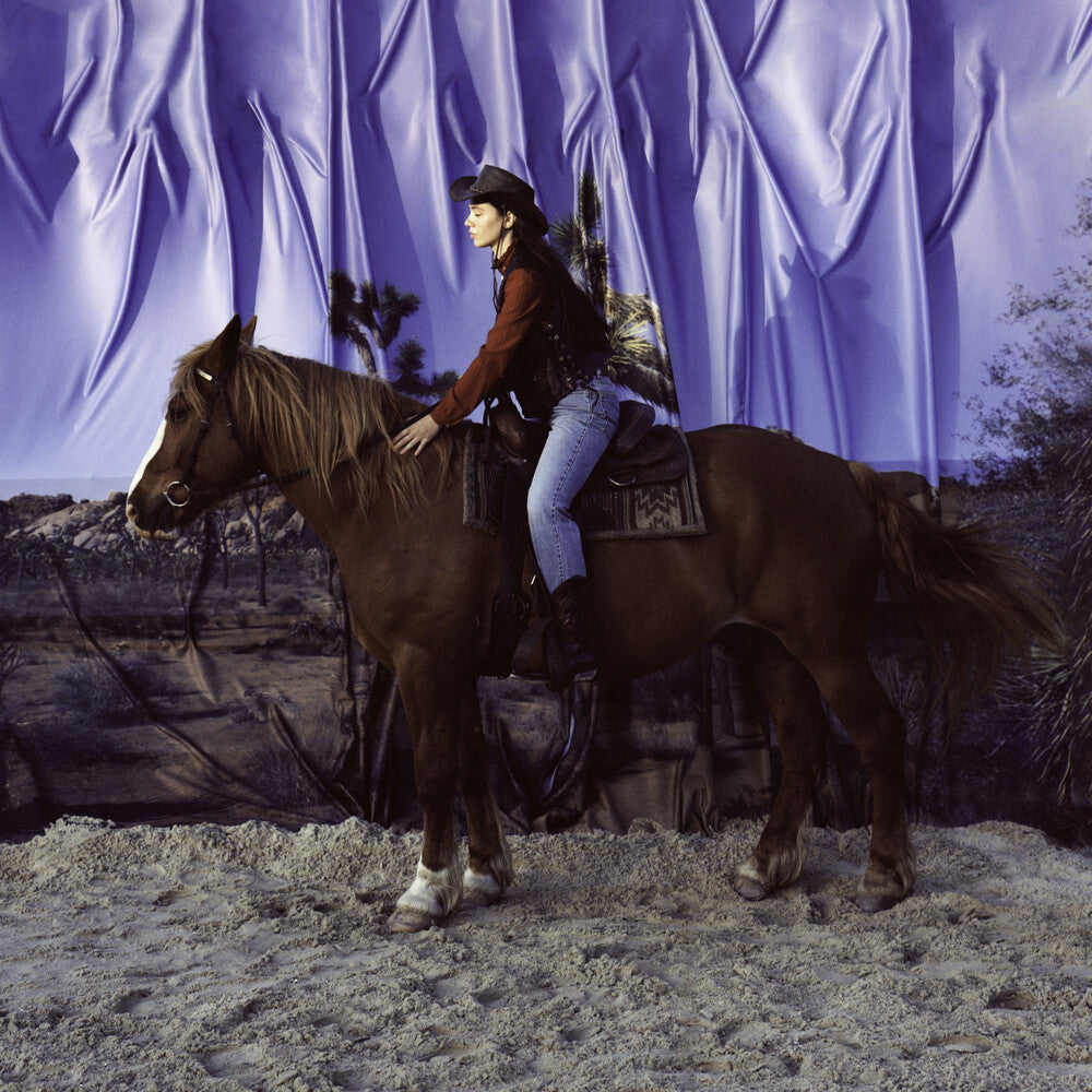 the album cover for The Holy Motors - Horse