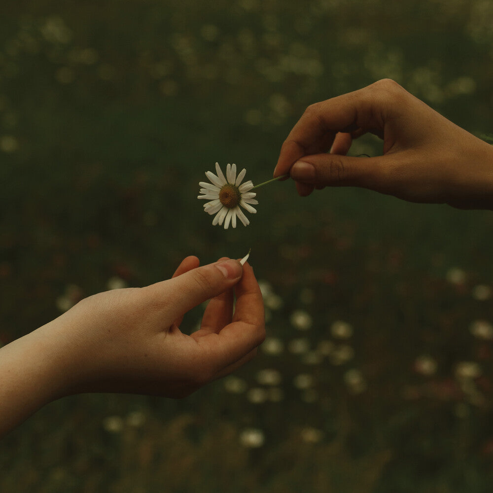 the album cover for Goldmund - The Time It Takes