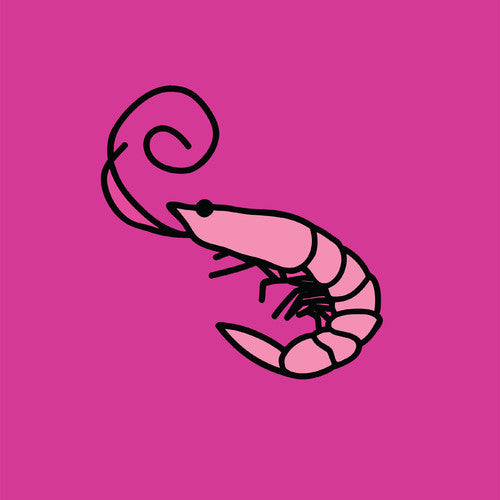 Kero Kero Bonito - Flamingo [LP]