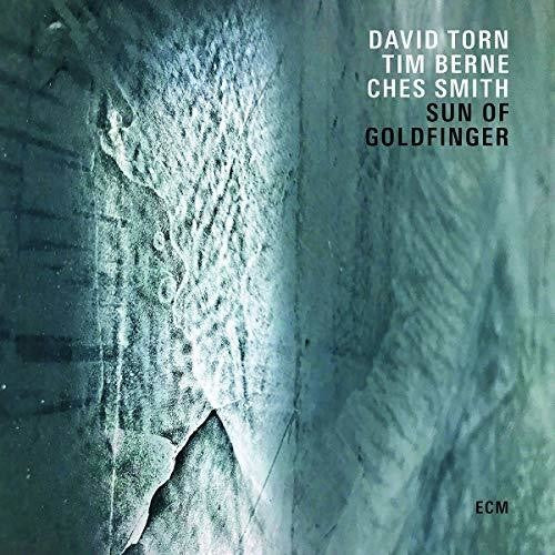 the album cover for David Torn / Berne,Tim / Smith,Ches - Sun Of Goldfinger