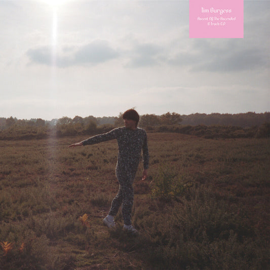 the album cover for Tim Burgess - Ascent Of The Ascended