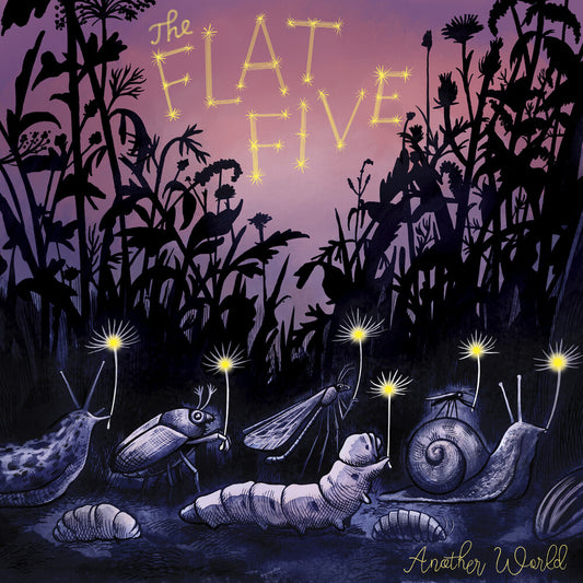 the album cover for Flat Five - Another World