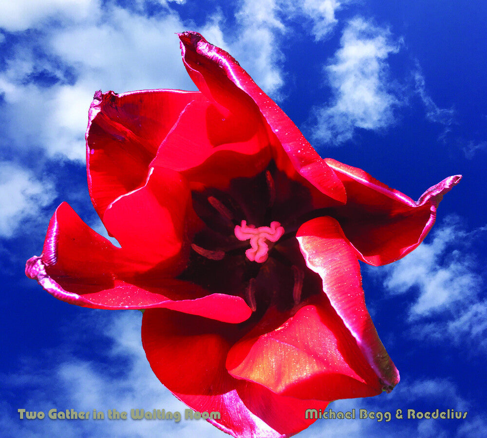 the album cover for Hans Roedelius -Joachim / Begg,Michael - Two Gather In The Waiting Room