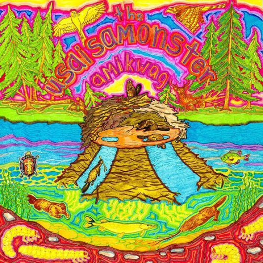 the album cover for USAISAMONSTER - Amikwag