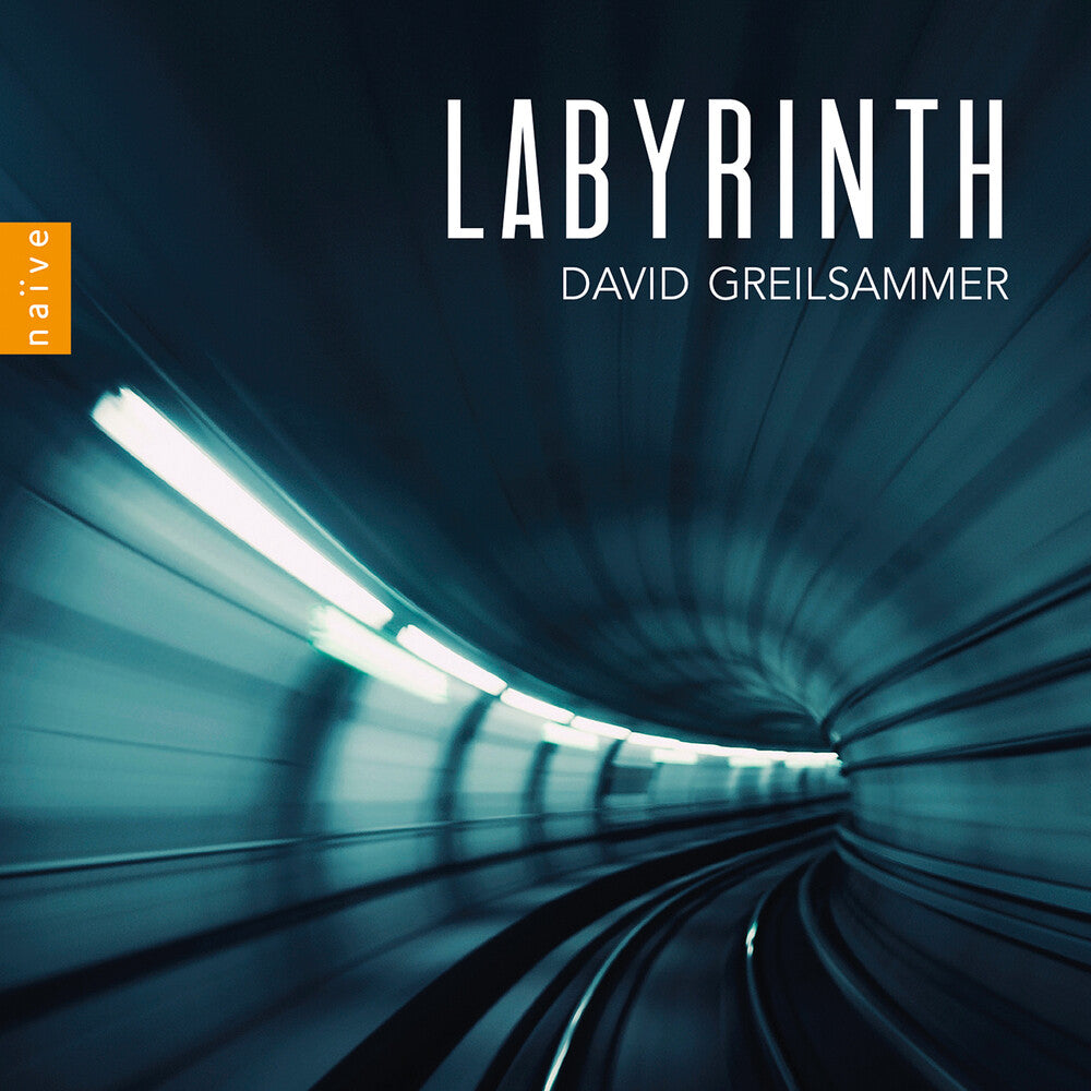the album cover for Labyrinth / Various - Labyrinth