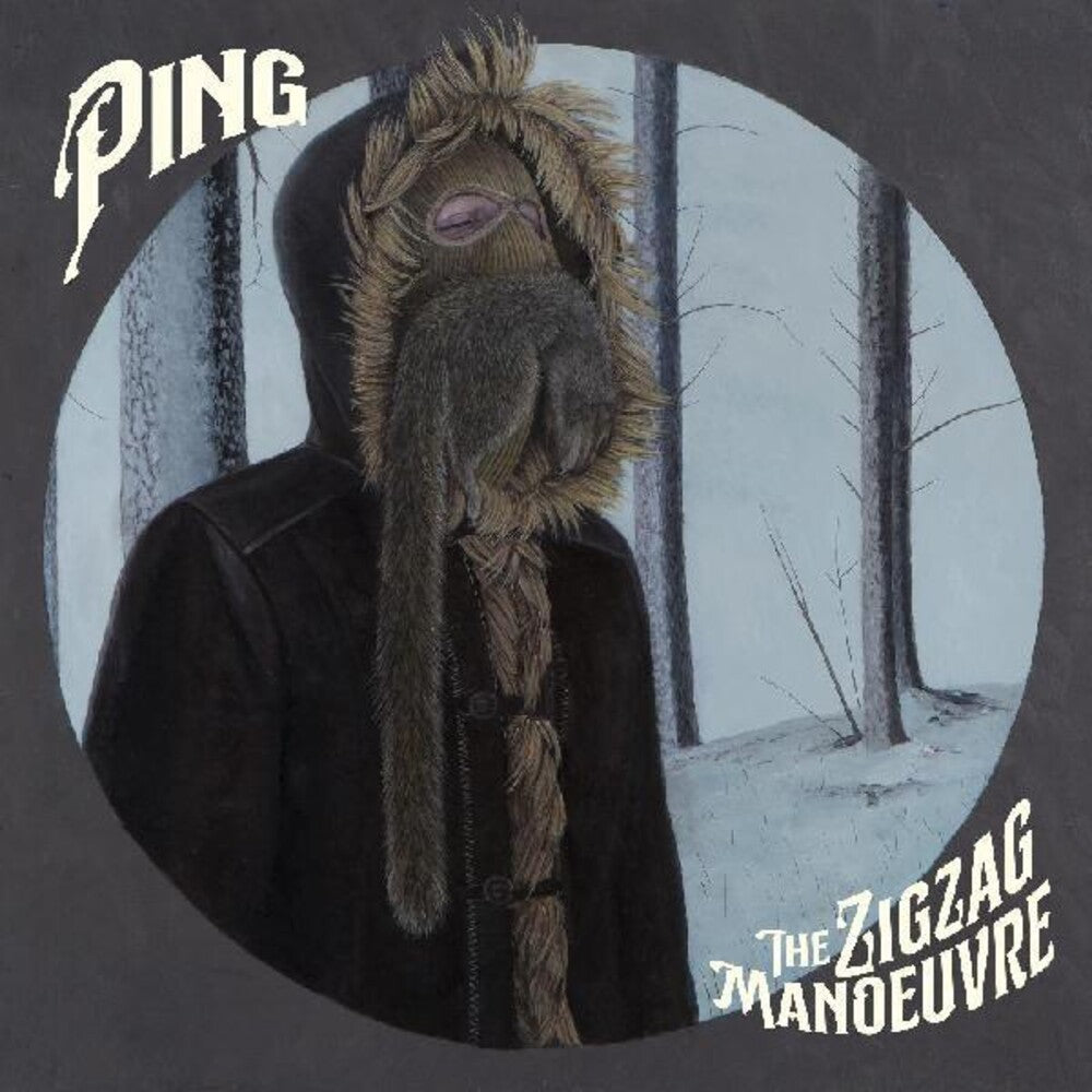 the album cover for Ping - Zig Zag Manoeuvre