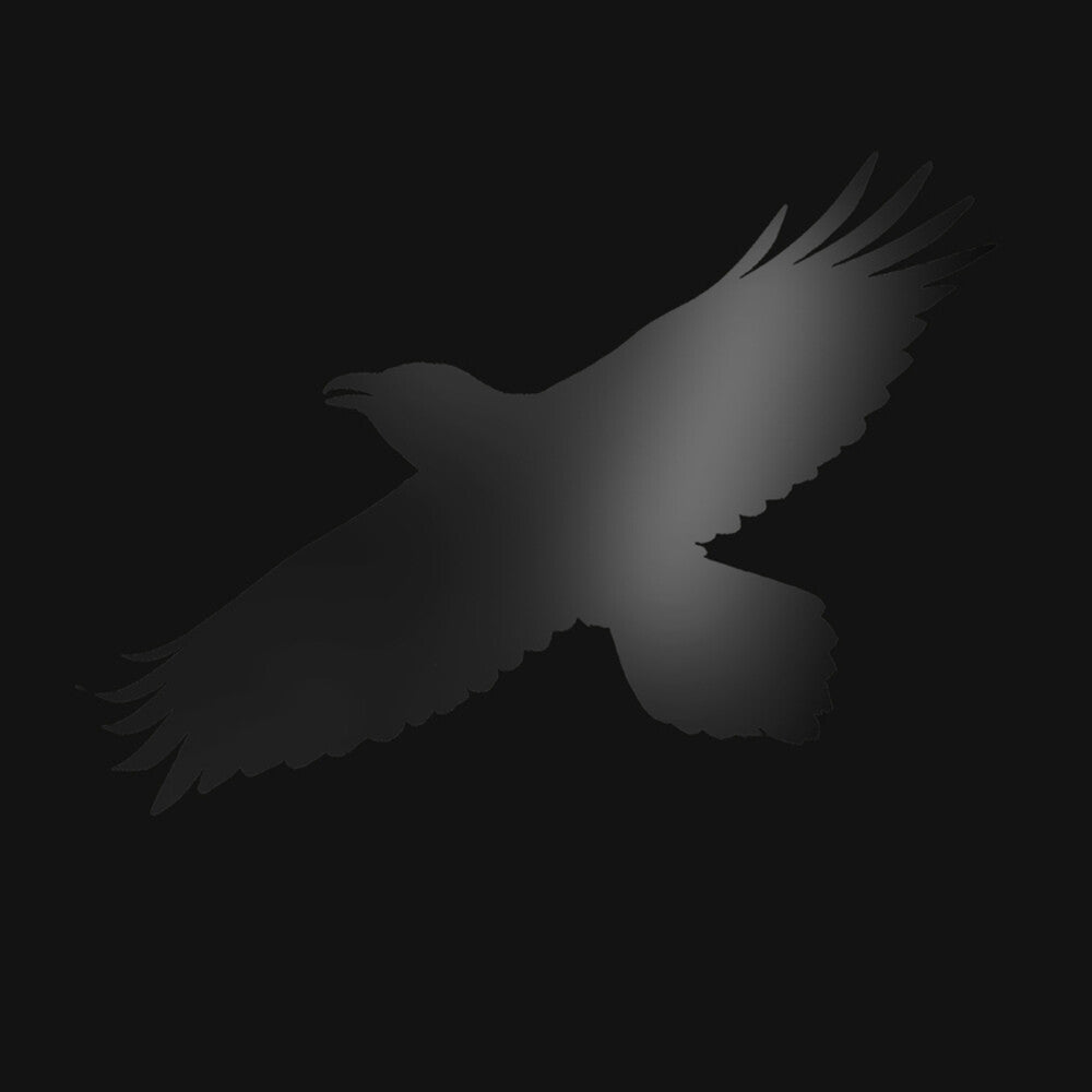 Sigur Ros - Odins Raven Magic [CD]