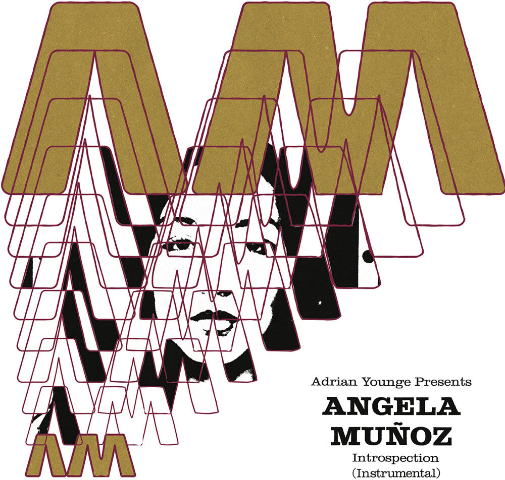 the album cover for Angela Muñoz - Introspection (Instrumentals)