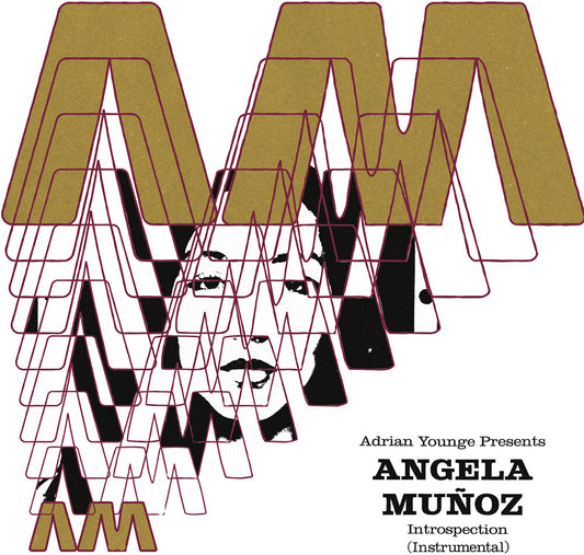 the album cover for Angela Muñoz - Introspection (Instrumentals)