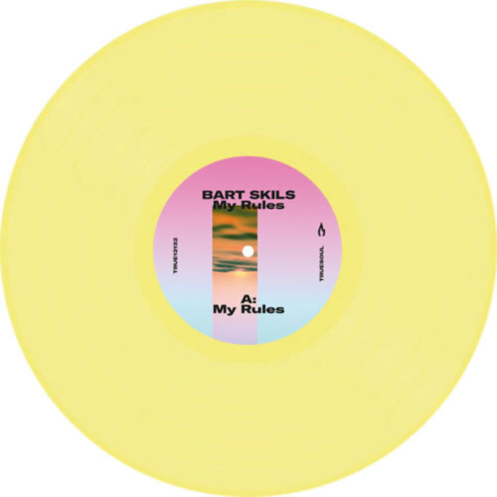 the album cover for Bart Skils - My Rules