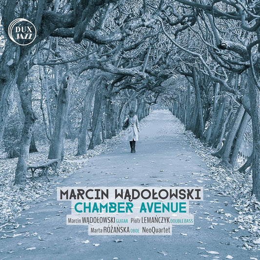the album cover for Berthier / Wadolowski / Neoquartet - Chamber Avenue