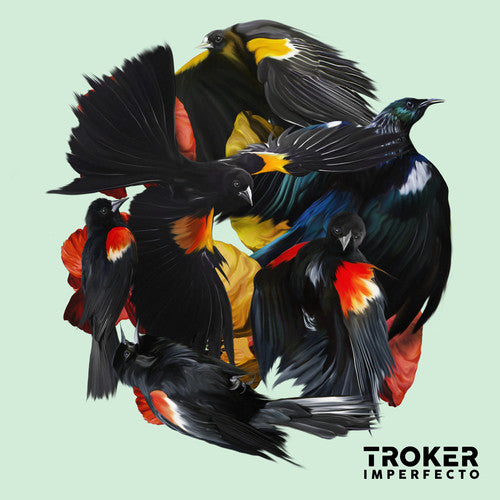 the album cover for Troker - Imperfecto