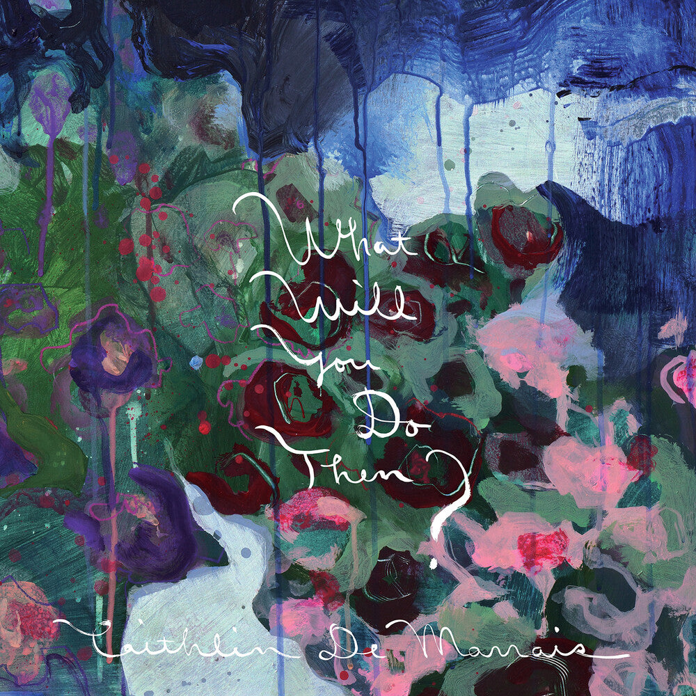 the album cover for Caithlin De Marrais - What Will You Do Then?