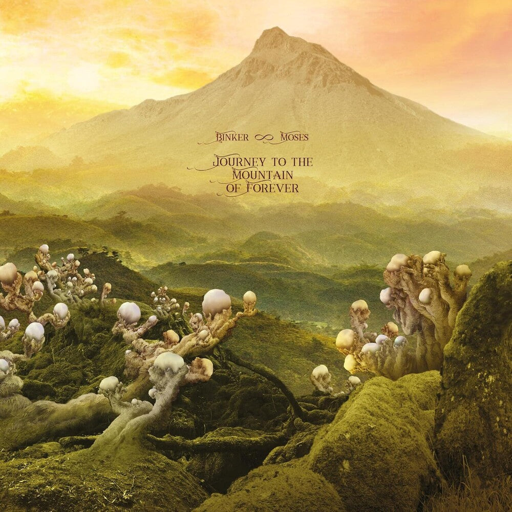the album cover for Binker & Moses - Journey To The Mountain Of Forever