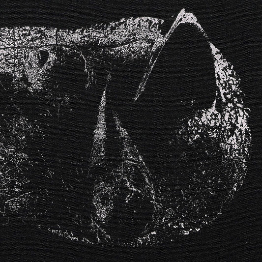 the album cover for Demon Head - Viscera