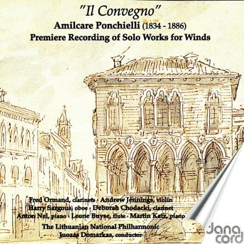 the album cover for Juozas Domarkas - II Convegno