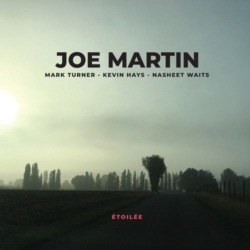 the album cover for Joe Martin - Etoilee